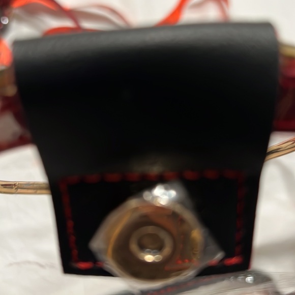 Crossbody see-thru for concerts security easy-pass - Picture 2 of 6